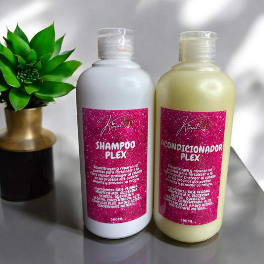 Pack Reparación Plex 500ml